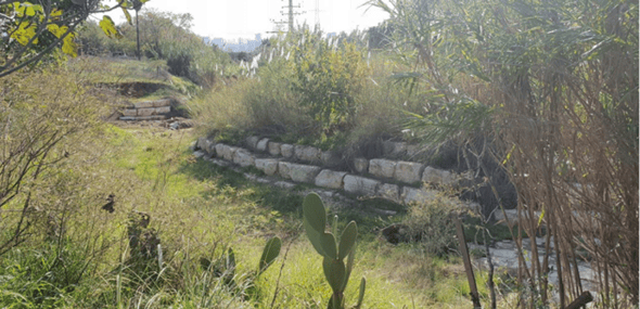 קרדיט: ליאב שלם
